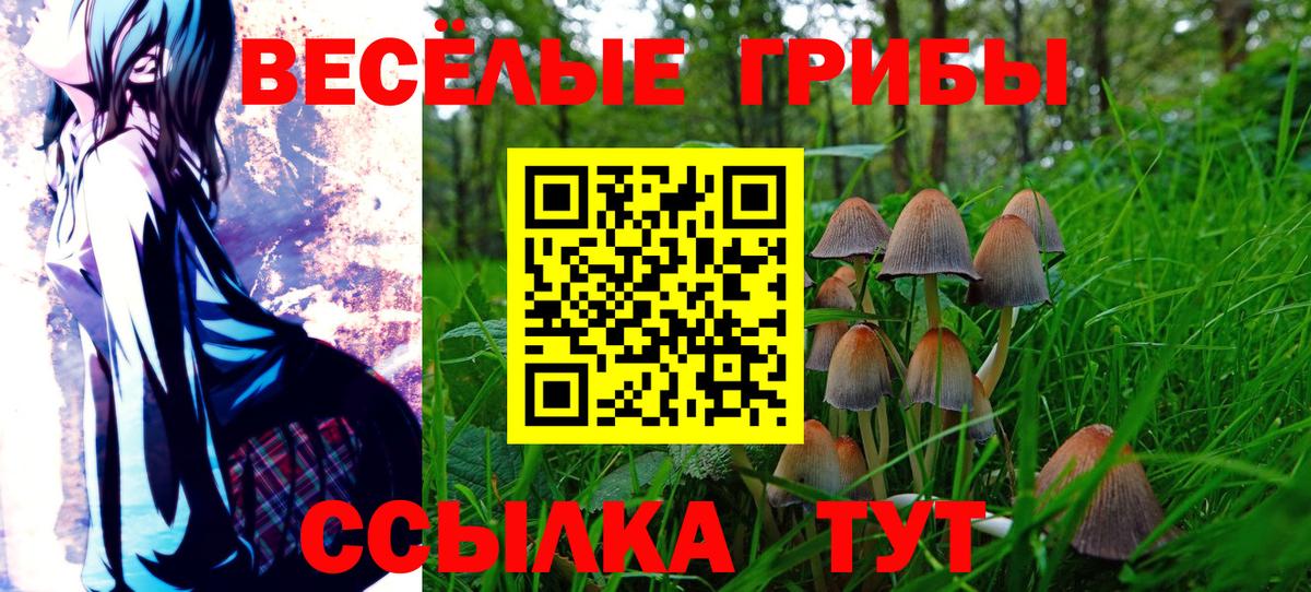 Галлюциногенные грибы Magic Shrooms Кунгур